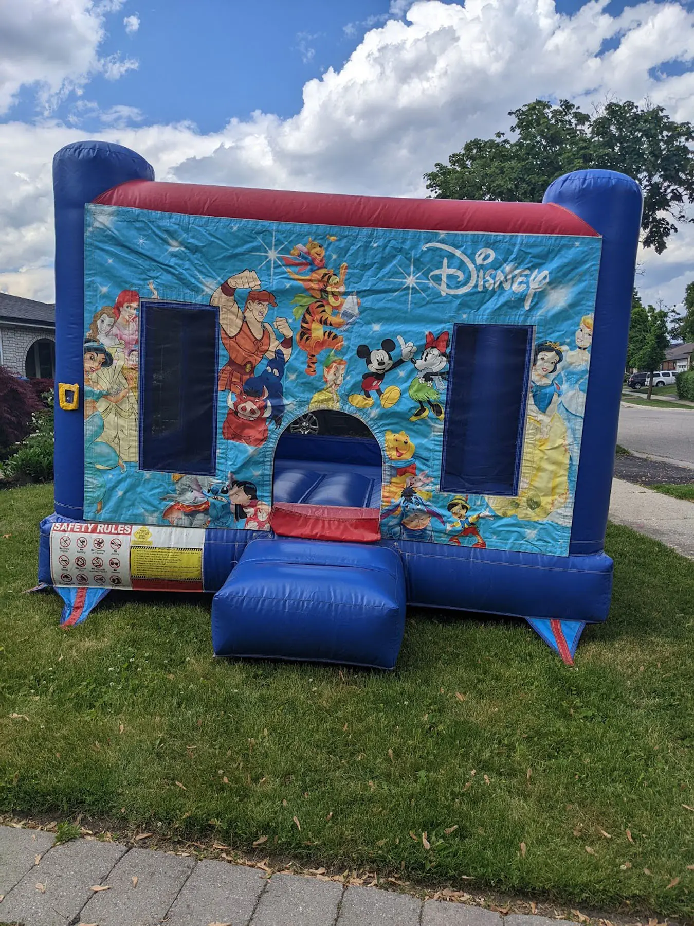 Small Disney Bouncy Castle inflatable rental gallery view 2 — The Bouncy Castle King, serving the GTA