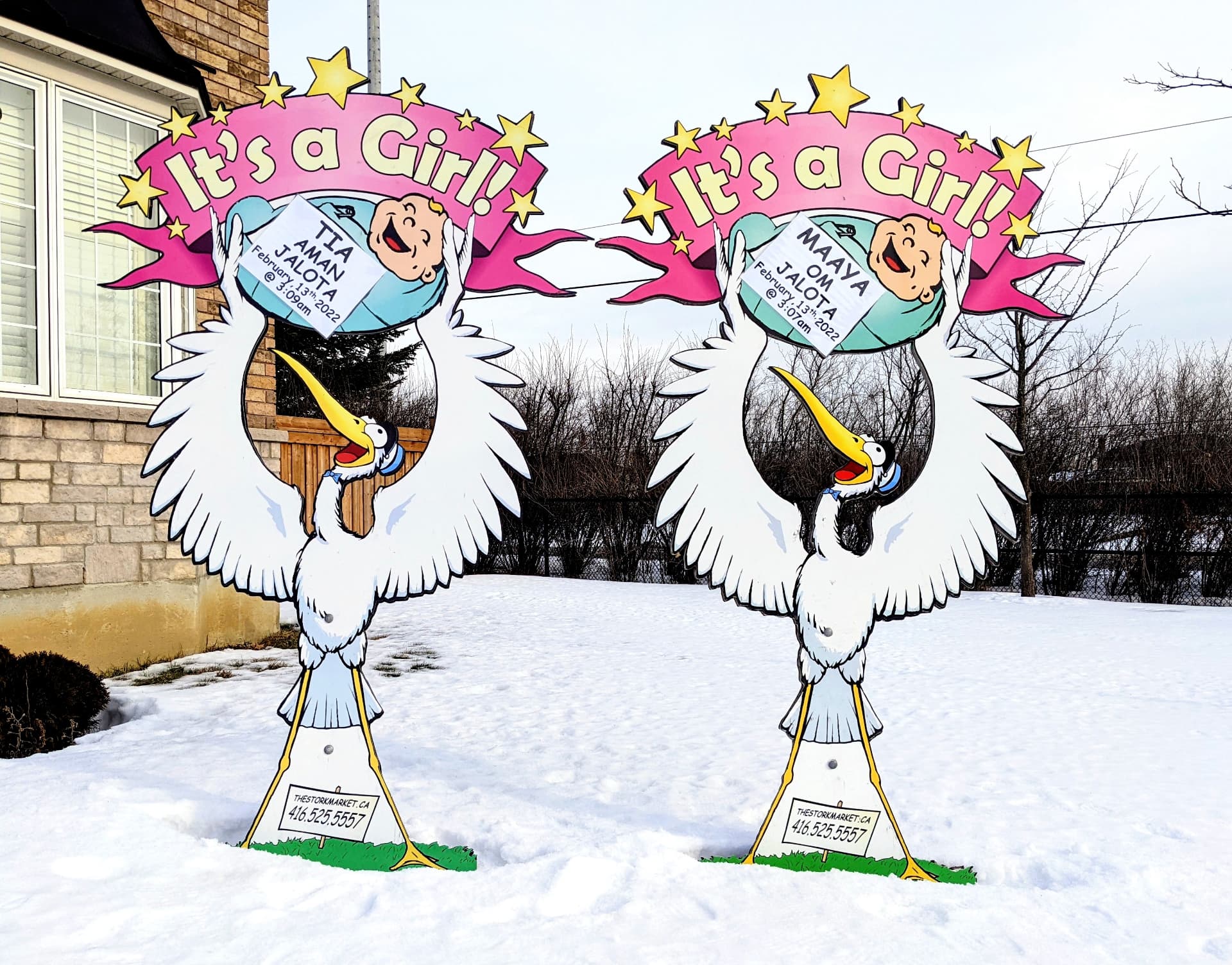 Twin pink lawn stork signs for Tia Aman and Maaya Om Jalota in snow — The Stork Market, serving Brampton and the GTA