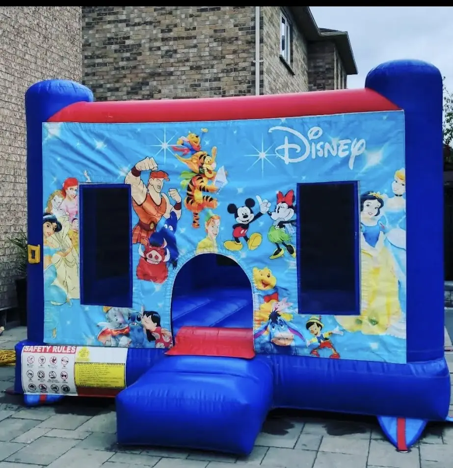 Small Disney Bouncy Castle inflatable rental full exterior β The Bouncy Castle King, serving the GTA