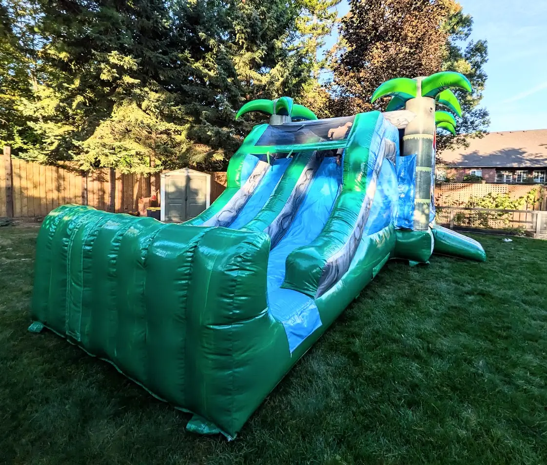 Double Slide Tropical Bouncy Castle inflatable rental gallery view 2 — The Bouncy Castle King, serving the GTA