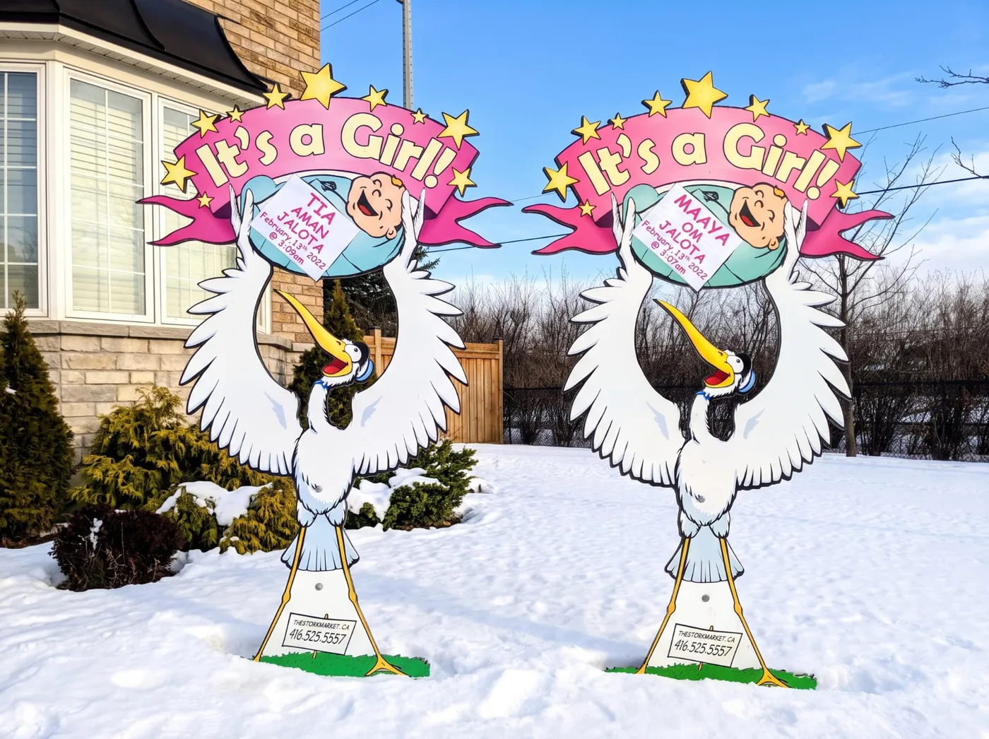 Twin pink It’s a Girl lawn stork signs for Tia and Maaya standing in the snow in front of a GTA home