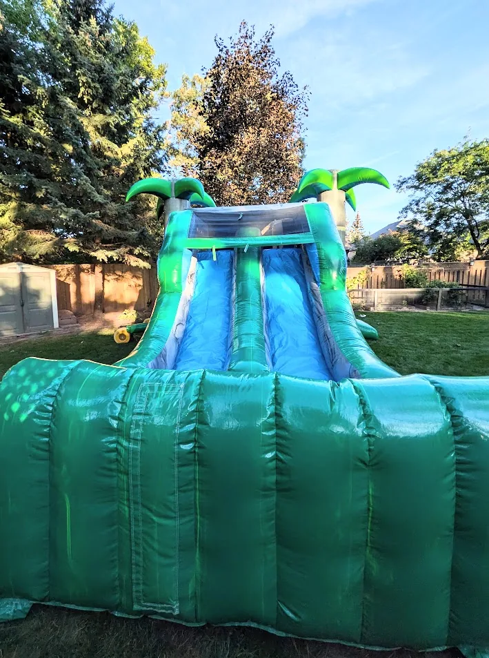 Double Slide Tropical Bouncy Castle inflatable rental gallery view 3 — The Bouncy Castle King, serving the GTA